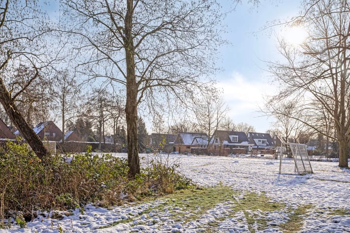 Foto 55 van Pinksterbloem 106