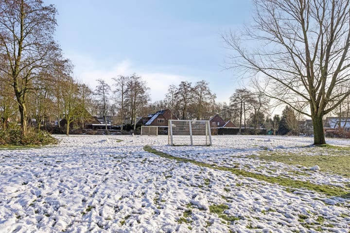 Foto 57 van Pinksterbloem 106