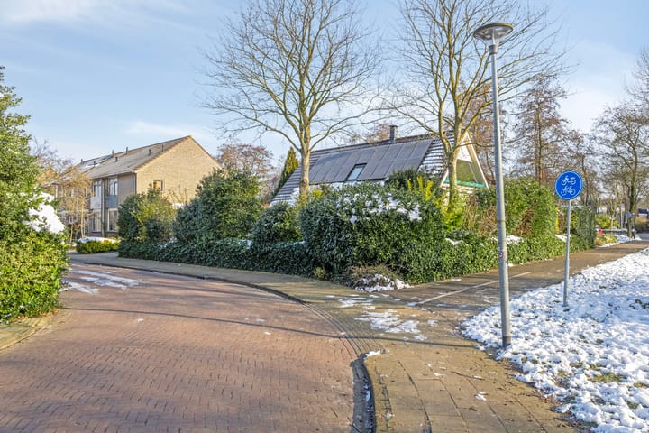 Foto 58 van Pinksterbloem 106