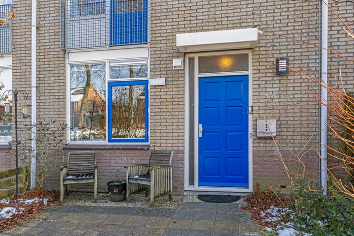 Foto 60 van Pinksterbloem 106