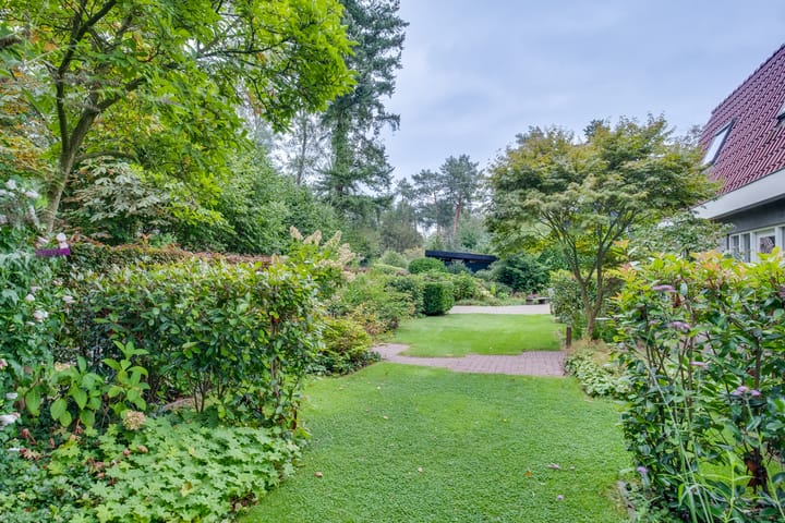 Foto 47 van Looërmark 47