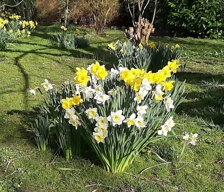 Foto 76 van Kerkpad 4