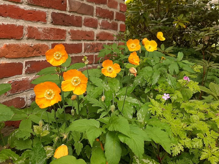 Foto 77 van Kerkpad 4