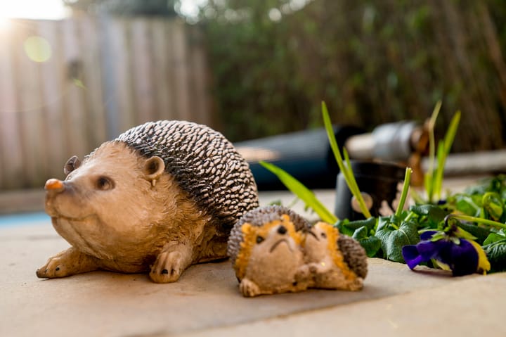 Foto 50 van Aardhuisweg 2-A