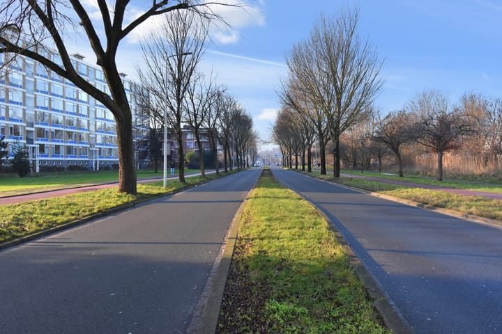 Foto 38 van Segbroeklaan 412-F