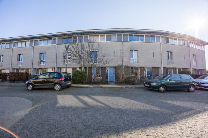 Foto 1 van Fluitenkruid 13