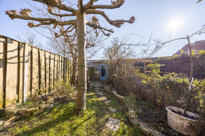 Foto 43 van Fluitenkruid 13