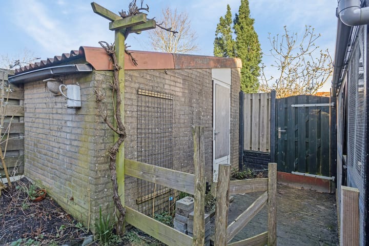 Foto 25 van Pimpelmees 48