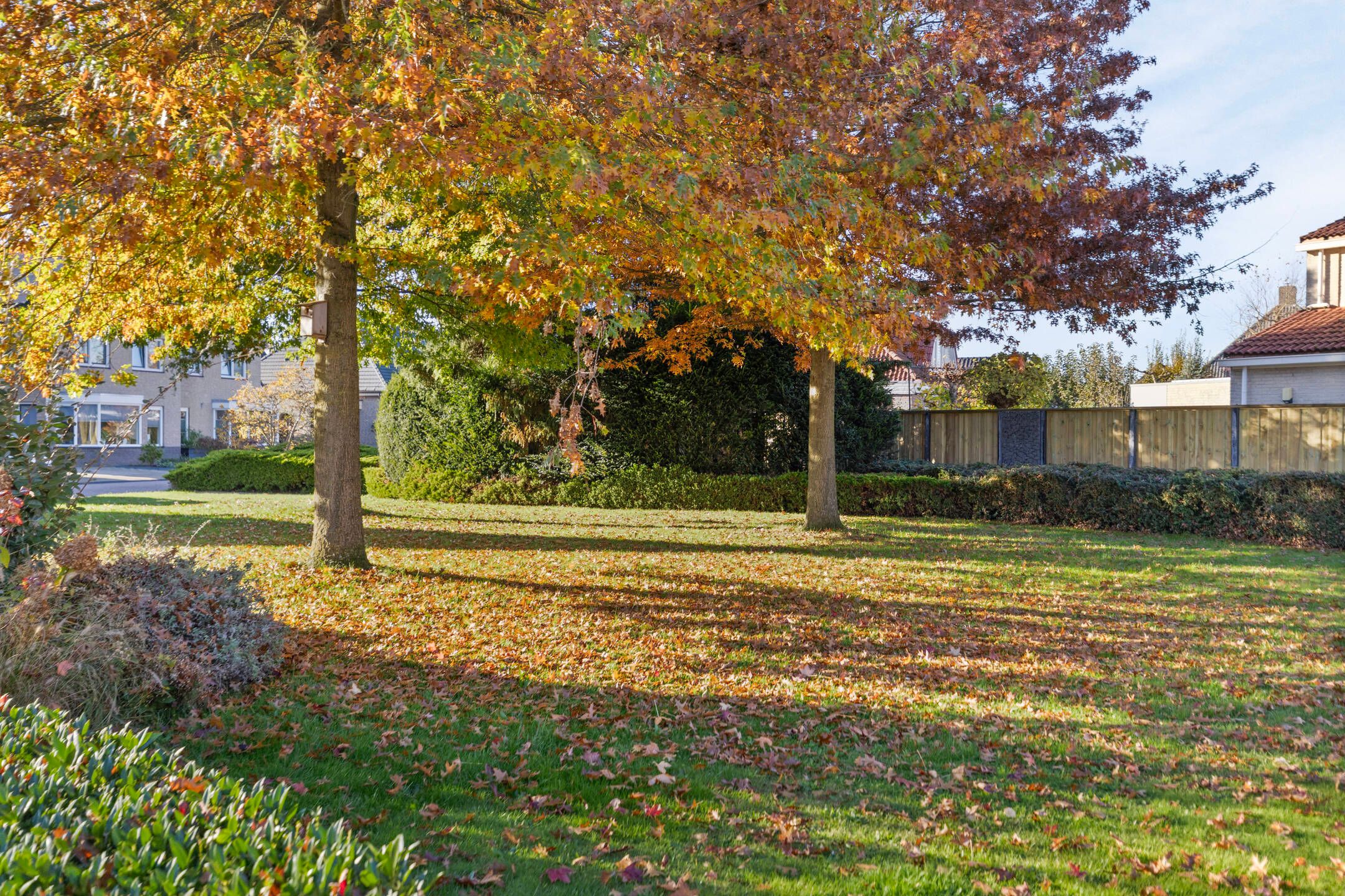 Photo 51 of Hagenvoorde 10