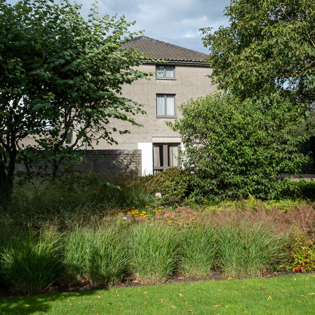 Foto 52 van Laageindsedijk 24-A