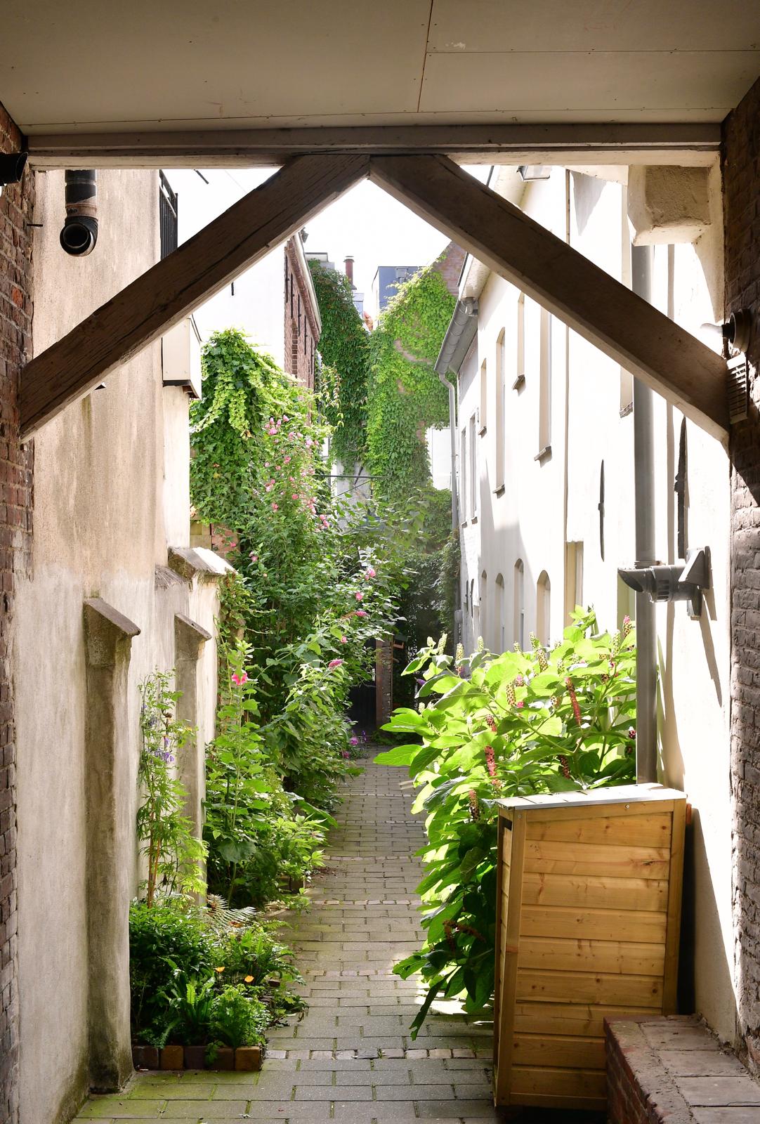 Foto 29 van Westwal 49