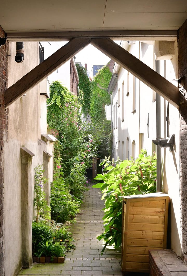 Foto 29 van Westwal 49