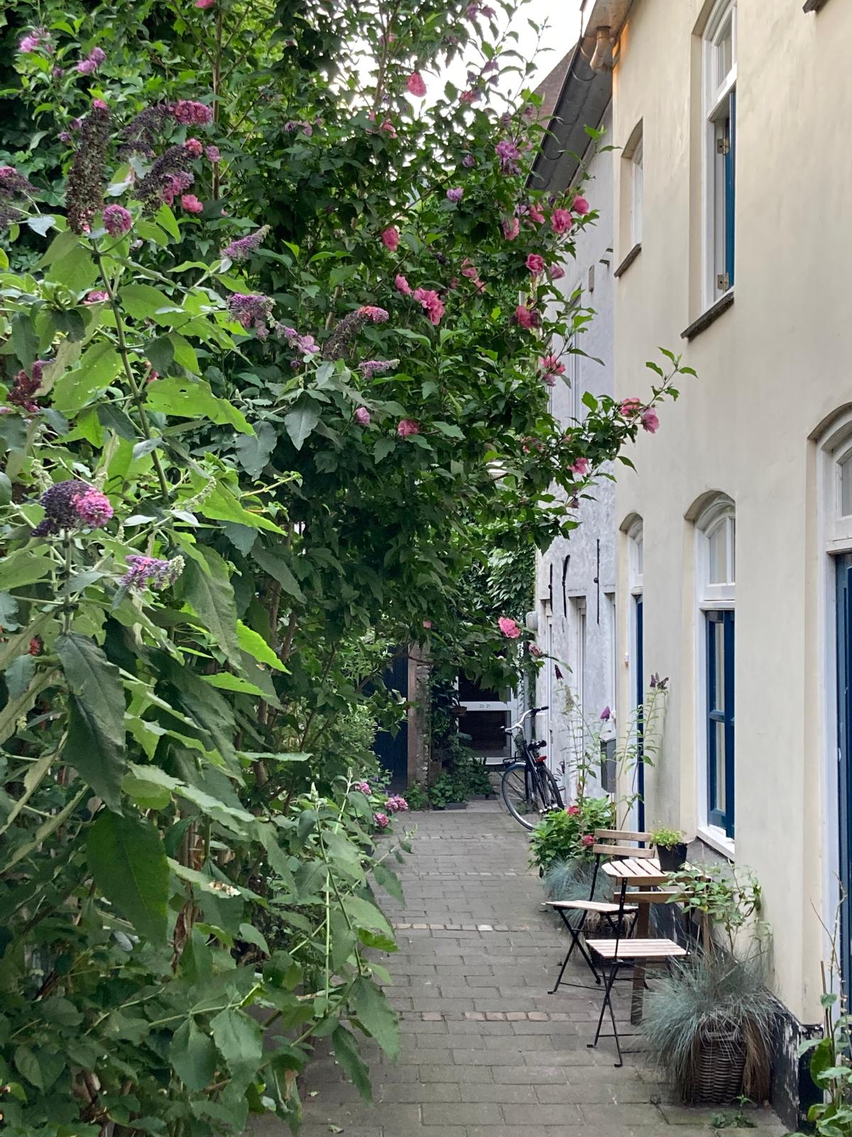 Foto 30 van Westwal 49