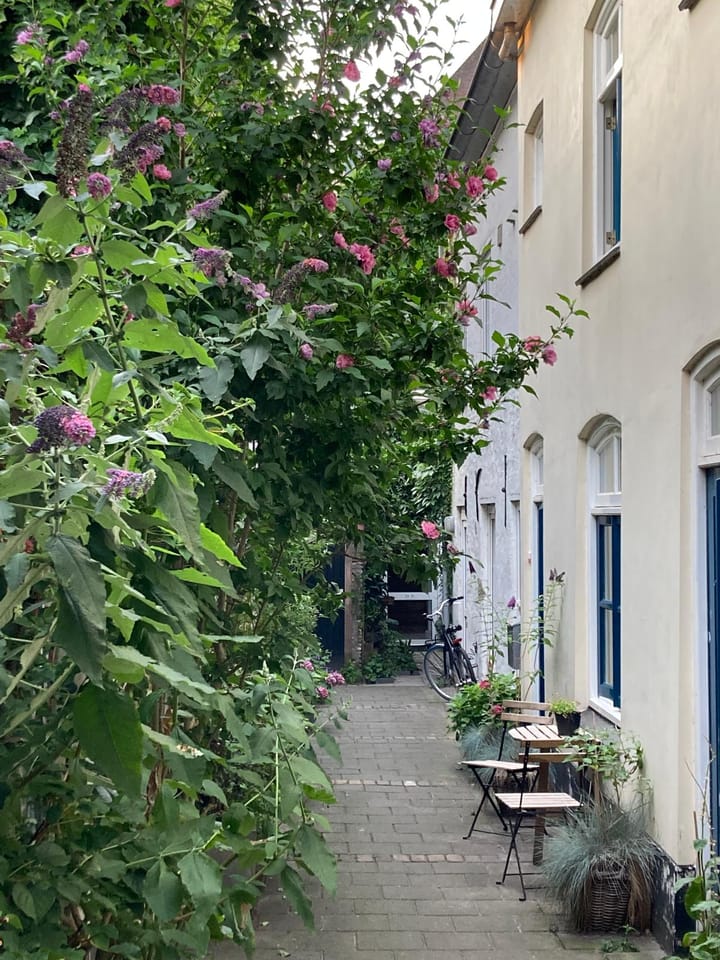 Foto 30 van Westwal 49