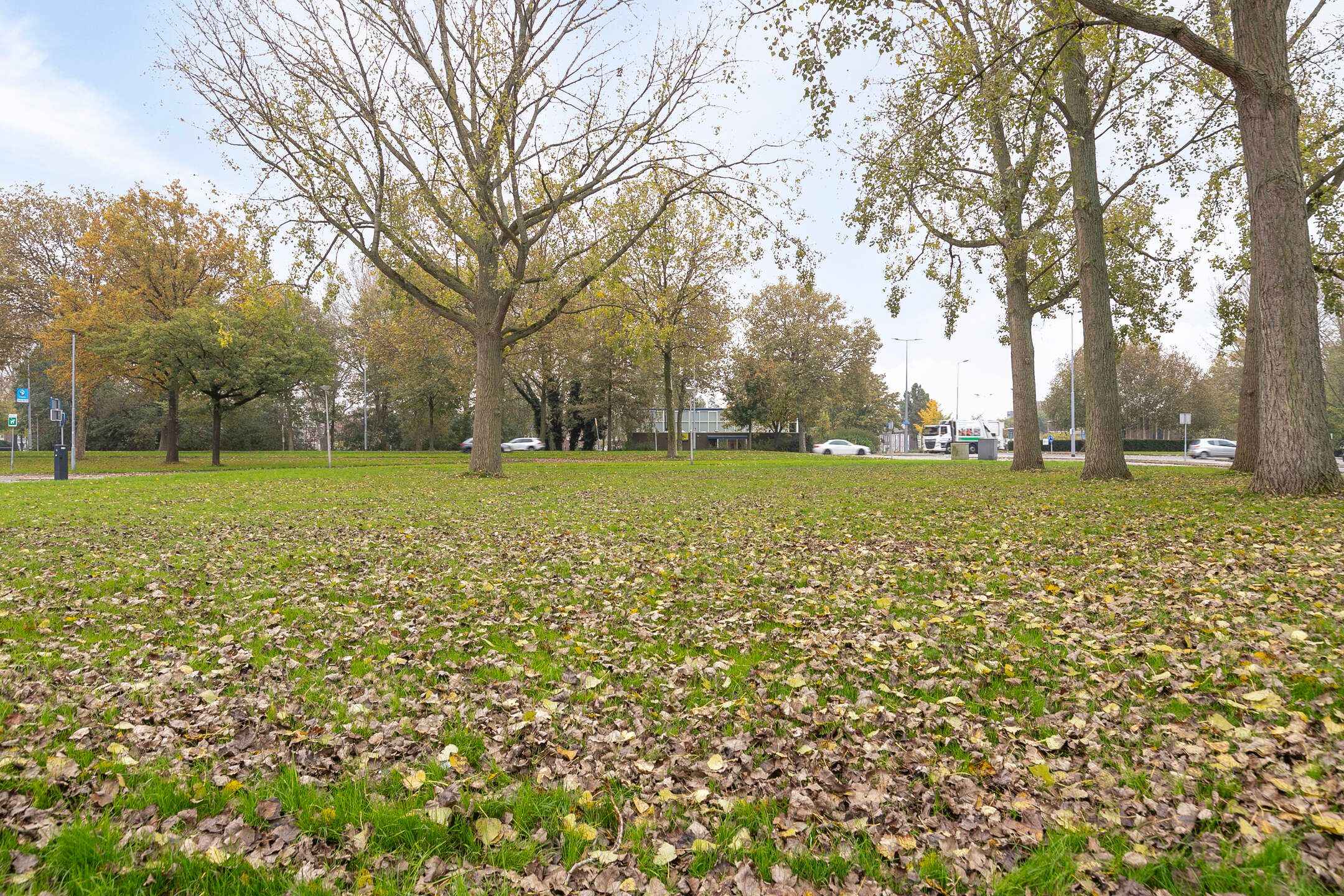 Foto 30 van Lokhorsterland 63