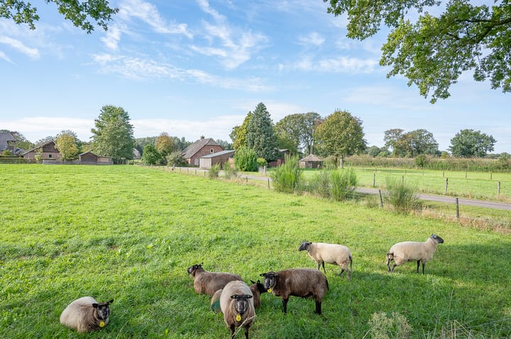 Foto 34 van Haarweg 1