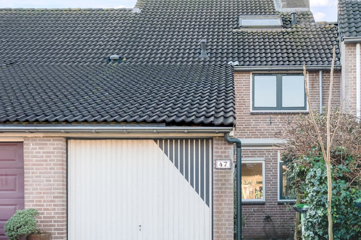 Bekijk foto van Meerkoetmeen 47