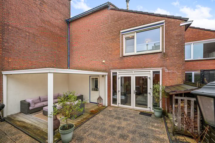 Foto 5 van Fluitekruid 10