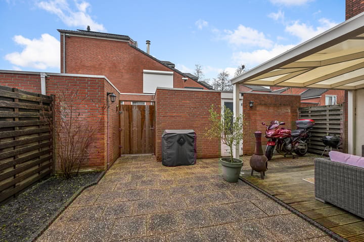 Foto 21 van Fluitekruid 10