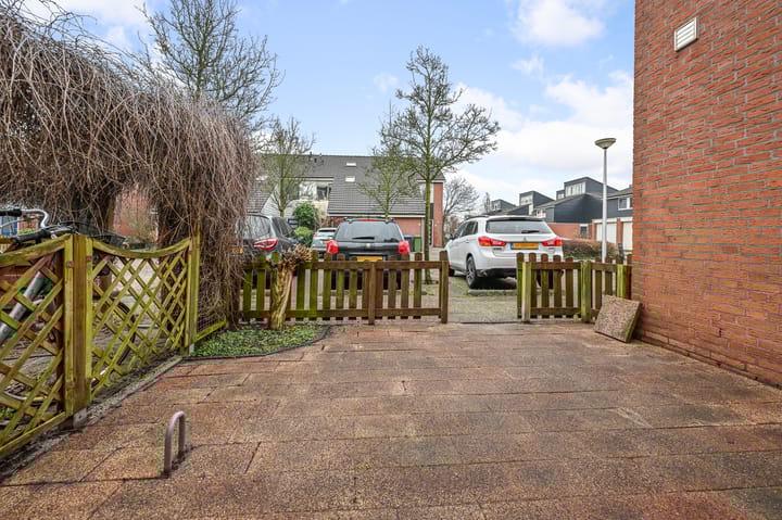 Foto 22 van Fluitekruid 10