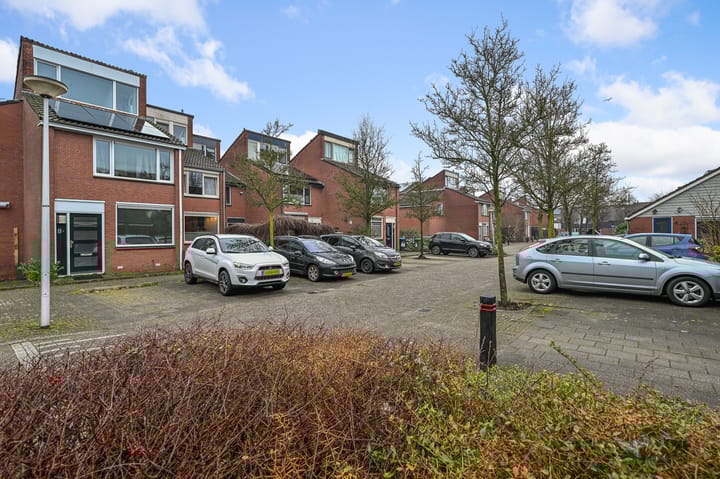 Foto 23 van Fluitekruid 10