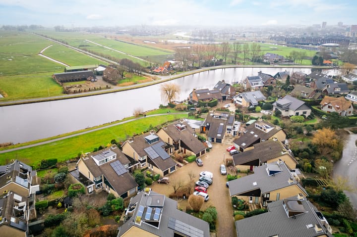 Foto 1 van Alpenroos 12