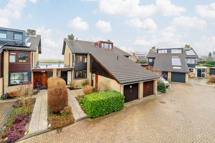 Foto 2 van Alpenroos 12