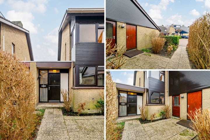 Foto 4 van Alpenroos 12