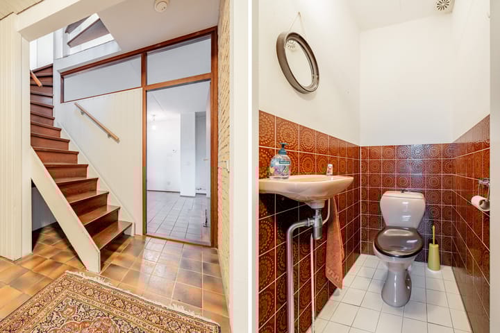 Foto 5 van Alpenroos 12