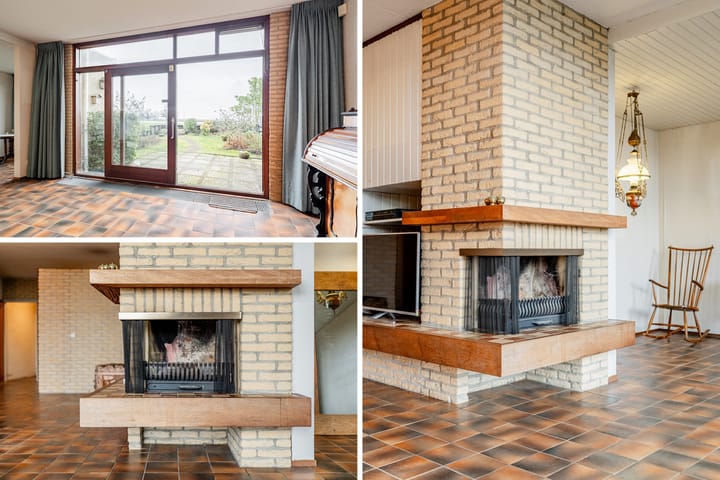 Foto 12 van Alpenroos 12