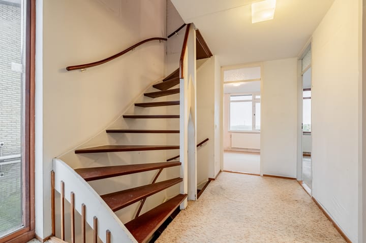 Foto 24 van Alpenroos 12