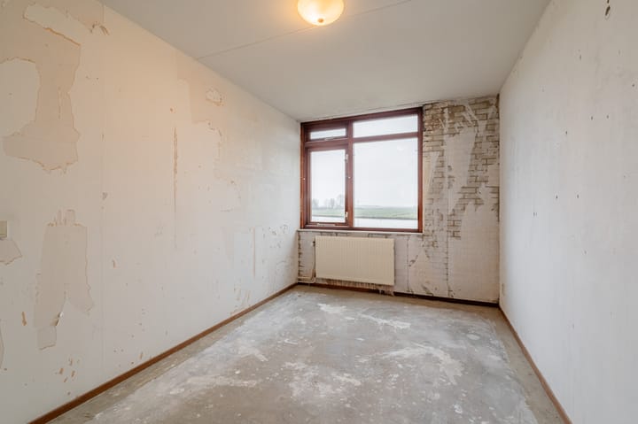 Foto 28 van Alpenroos 12