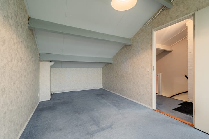 Foto 36 van Alpenroos 12