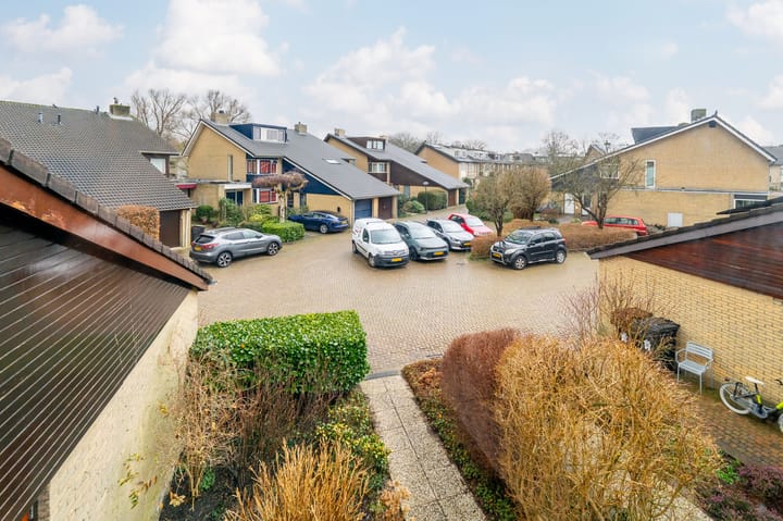 Foto 42 van Alpenroos 12