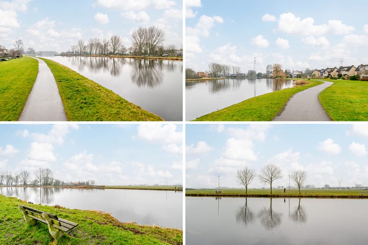 Foto 60 van Alpenroos 12