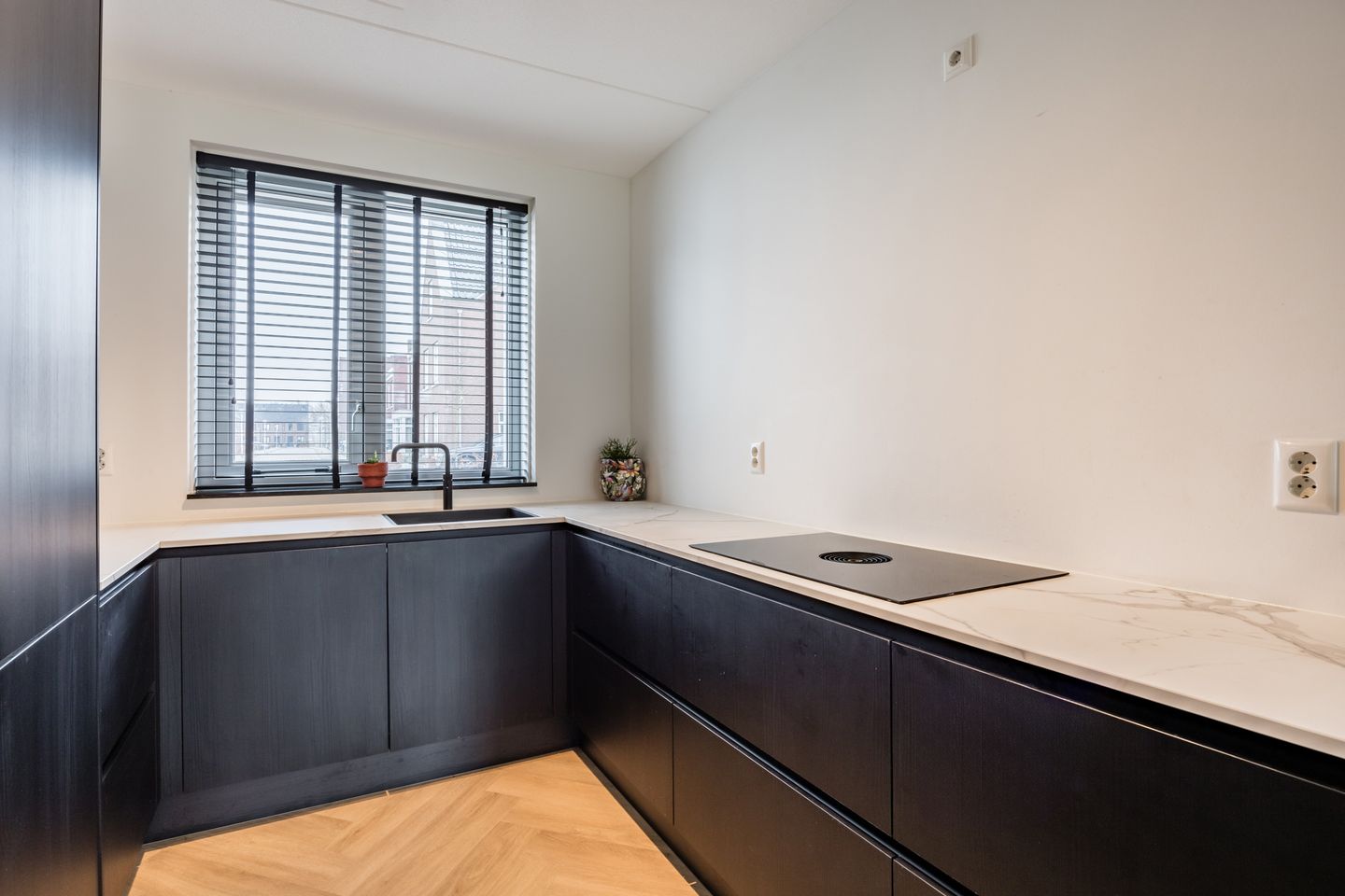 Foto 20 van Akelei 8