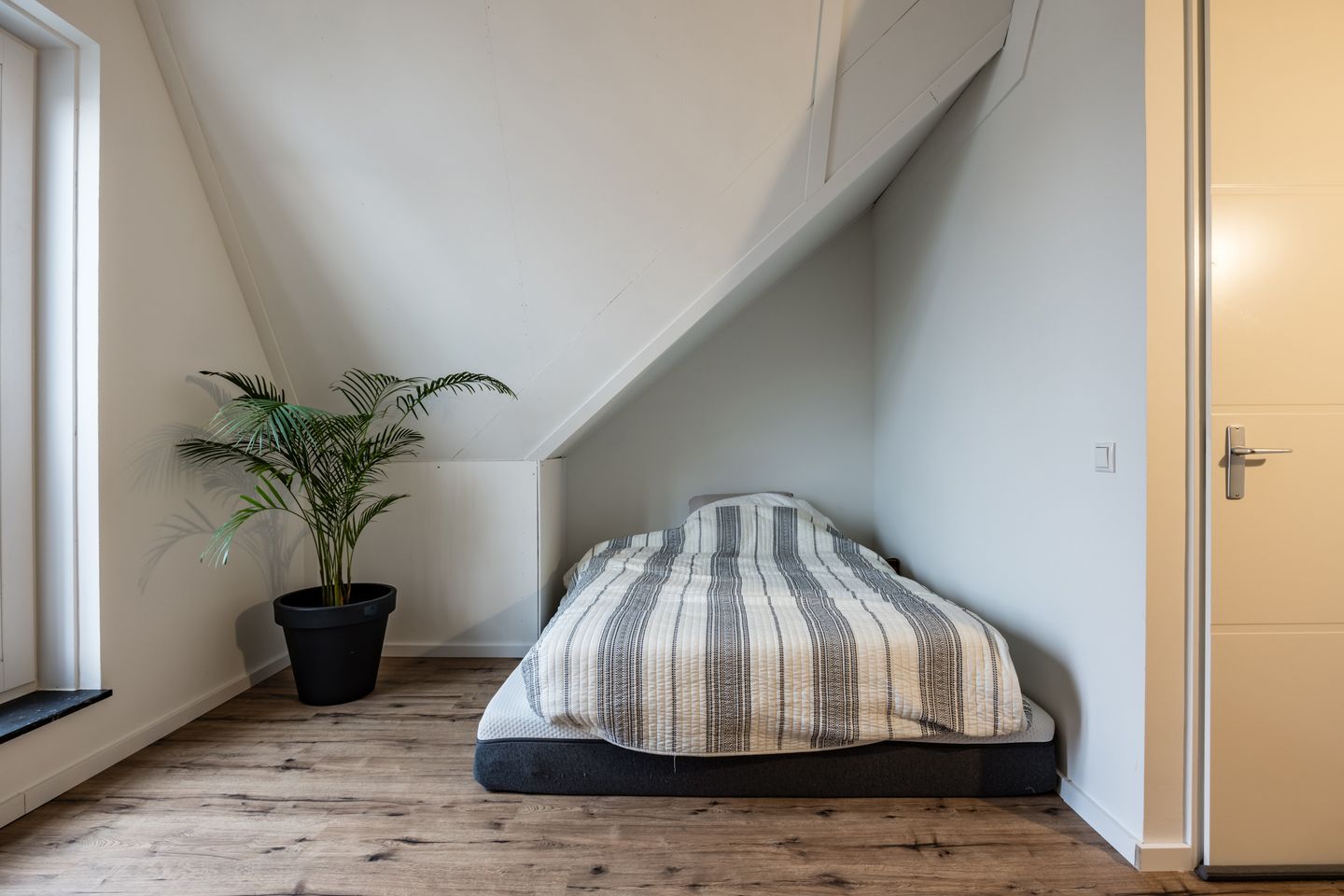 Foto 34 van Akelei 8