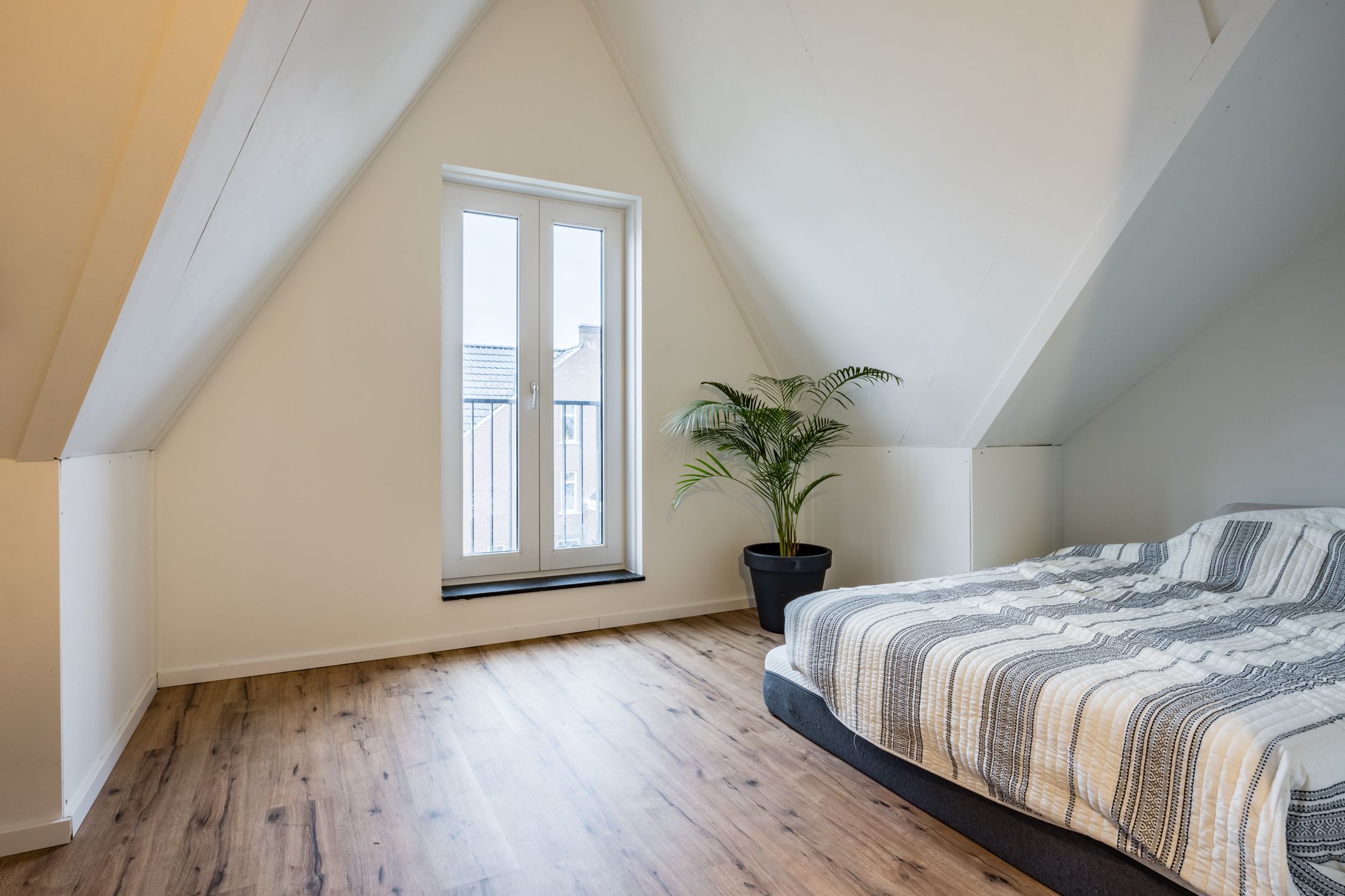 Foto 36 van Akelei 8