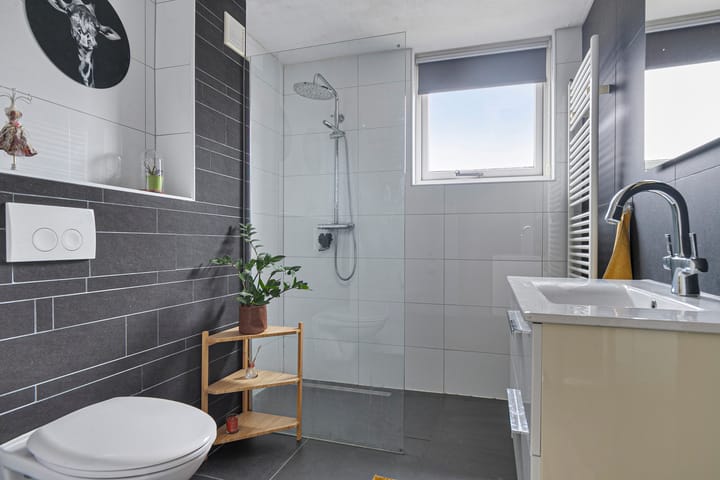 Foto 3 van Botter 39