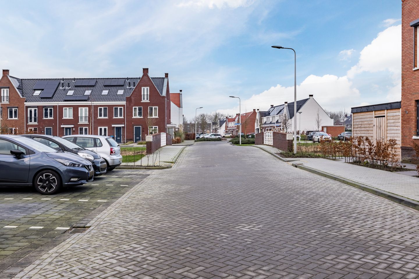 Foto 50 van Akelei 8