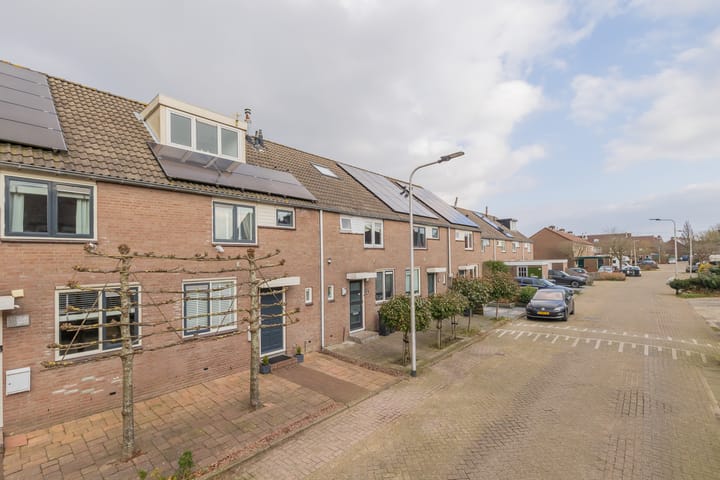 Foto 34 van Jan Prinsheem 33