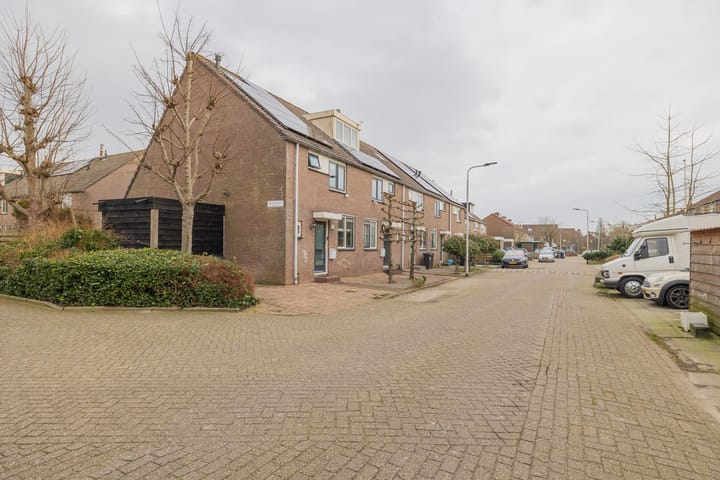 Foto 35 van Jan Prinsheem 33