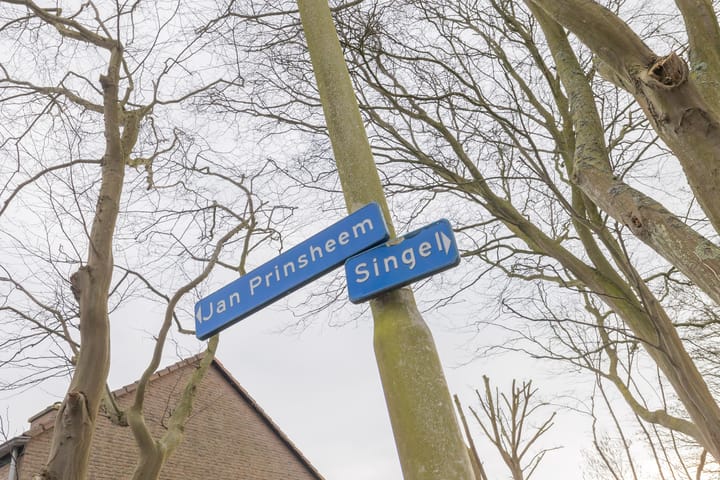 Foto 36 van Jan Prinsheem 33