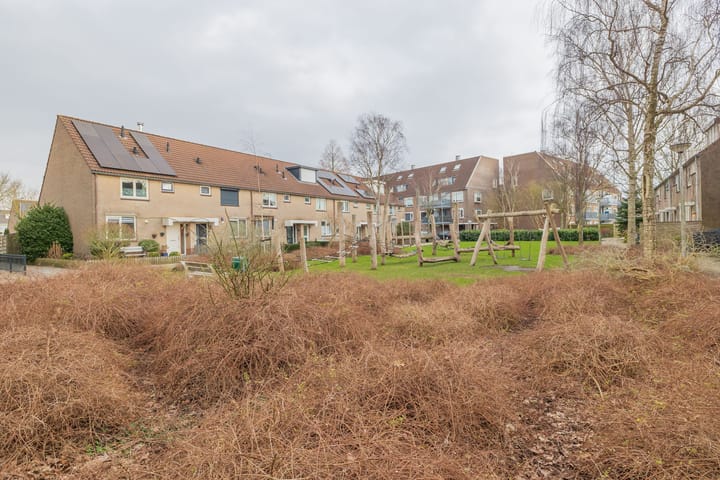 Foto 38 van Jan Prinsheem 33