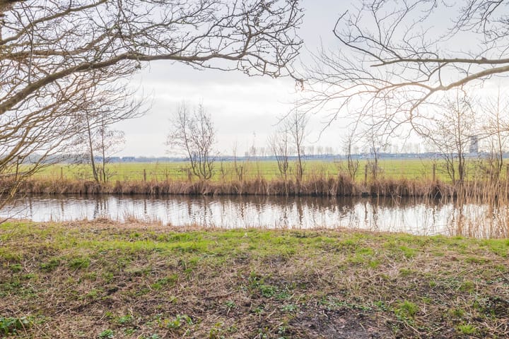 Foto 39 van Jan Prinsheem 33