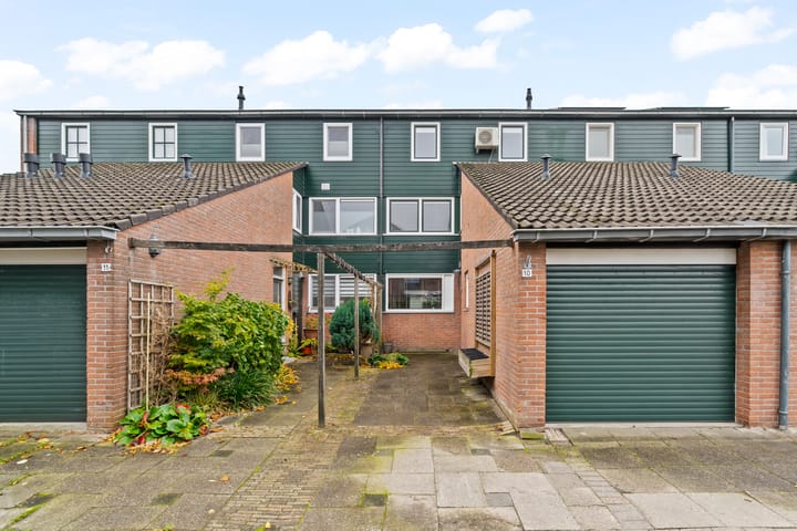 Foto 1 van Pijlkruid 10