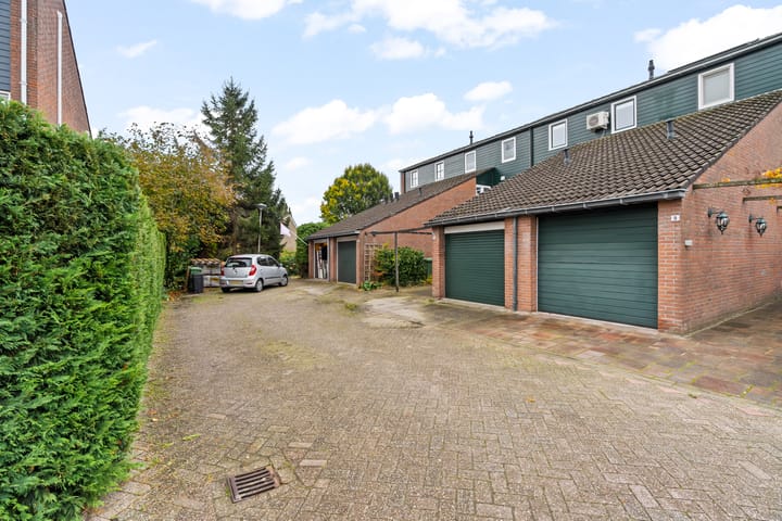 Foto 30 van Pijlkruid 10