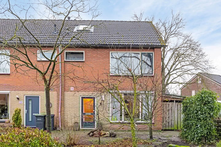 Foto 40 van Bromeliastraat 72