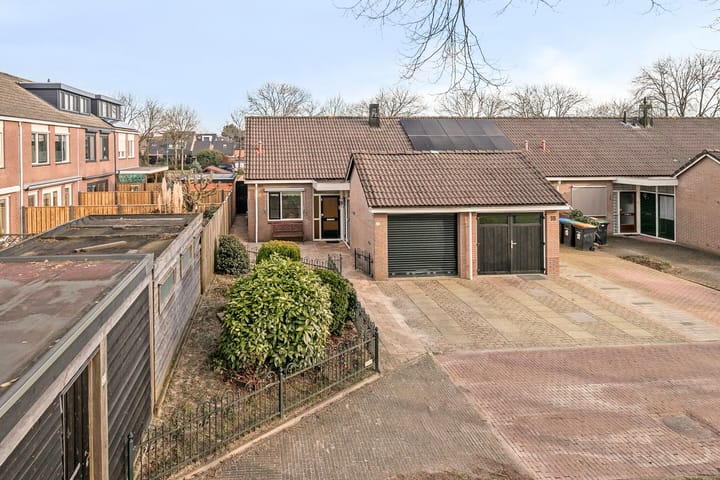 Foto 4 van Rietgans 20