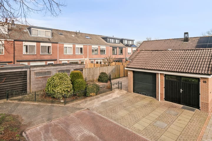 Foto 5 van Rietgans 20